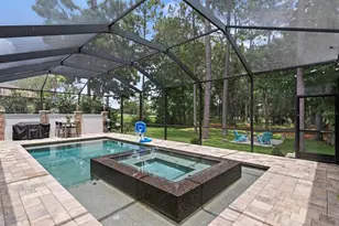 12918 Red Cardinal Dr, Odessa, FL 33556 - Photo 62