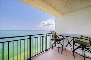 9 Haig Pl, Dunedin, FL 34698 - Photo 18