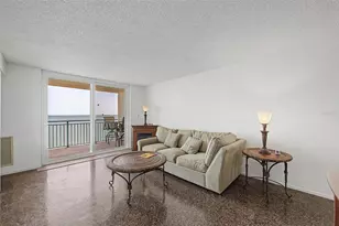 9 Haig Pl, Dunedin, FL 34698 - Photo 10