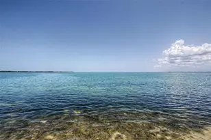 9 Haig Pl, Dunedin, FL 34698 - Photo 20