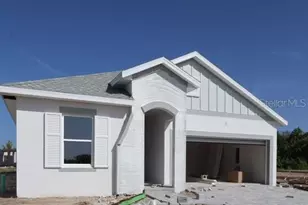 11808 Full Moon Loop, Parrish, FL 34219 - Photo 2