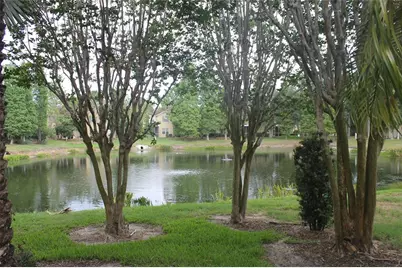 9238 Stone River Place, Riverview, FL 33578 - Photo 22
