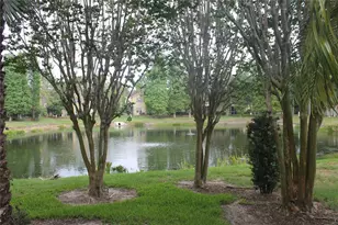 9238 Stone River Pl, Riverview, FL 33578 - Photo 22