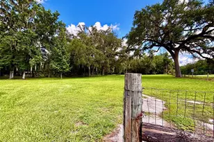 9499 Treiman Blvd, Webster, FL 33597 - Photo 26