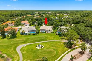 85 Kelleys Trail, Oldsmar, FL 34677 - Photo 78