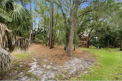 1332 Preservation Way, Oldsmar, FL 34677 - Photo 10