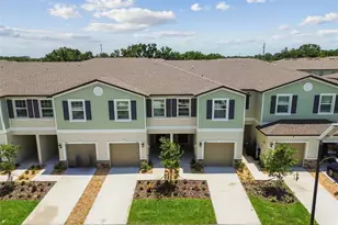 2665 Buttercup Lucine Ln, Ruskin, FL 33570 - Photo 54