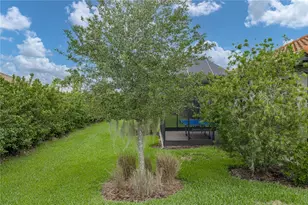 4248 Cairoli Ct, Wesley Chapel, FL 33543 - Photo 62