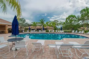 132 Shell Falls Dr, Apollo Beach, FL 33572 - Photo 92
