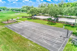2917 Winglewood Cir, Lutz, FL 33558 - Photo 50