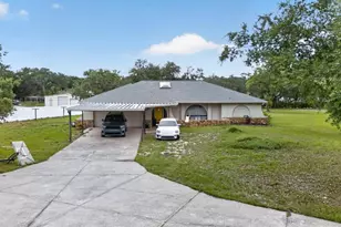 11501 Minnieola Dr, New Port Richey, FL 34654 - Photo 2