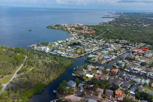 318 Circle Dr, Palm Harbor, FL 34683 - Photo 14
