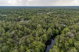8312 Revels Rd, Riverview, FL 33569 - Photo 44