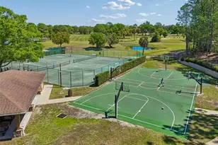 12507 Ashdown Dr, Odessa, FL 33556 - Photo 78
