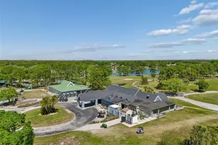 12507 Ashdown Dr, Odessa, FL 33556 - Photo 84