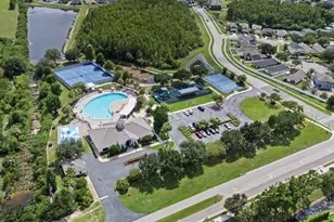 2841 Trinity Cottage Dr, Land O Lakes, FL 34638 - Photo 48