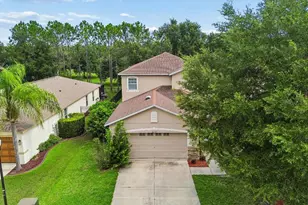 30737 White Bird Ave, Wesley Chapel, FL 33543 - Photo 6