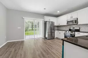 30737 White Bird Ave, Wesley Chapel, FL 33543 - Photo 16