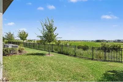 32137 Powderpuff Mimosa Drive, San Antonio, FL 33576 - Photo 24