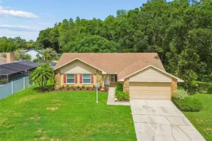 15109 Springview St, Tampa, FL 33624 - Photo 22