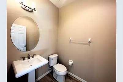 26992 Carolina Aster Drive, Wesley Chapel, FL 33544 - Photo 12