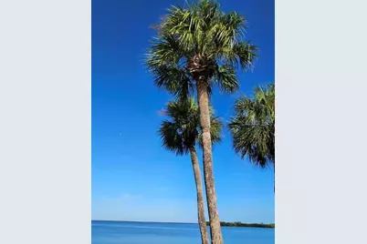 4851 W Gandy Boulevard #B7L27, Tampa, FL 33611 - Photo 40