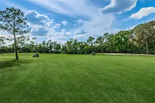 36750 US Hwy 19 N, Palm Harbor, FL 34684 - Photo 32