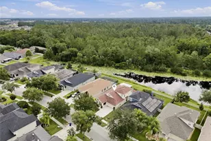 7806 Grasmere Dr, Land O Lakes, FL 34637 - Photo 36