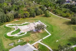 16910 Dorman Rd, Lithia, FL 33547 - Photo 44