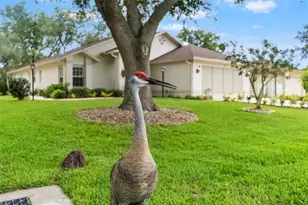 7350 Rosemont Ln, Spring Hill, FL 34606 - Photo 66