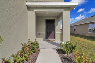 5546 Logan Cave Ave, Wimauma, FL 33598 - Photo 4