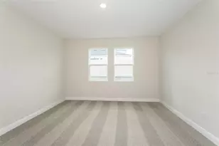 33437 Twilight Sea Place, Dade City, FL 33525 - Photo 4