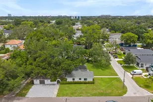802 W Coral St, Tampa, FL 33602 - Photo 8