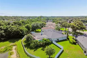 5304 Clouds Peak Dr, Lutz, FL 33558 - Photo 94