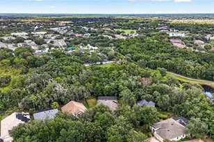 6135 Whimbrelwood Dr, Lithia, FL 33547 - Photo 78