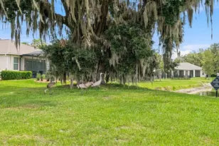 5315 Cappleman Loop, Brooksville, FL 34601 - Photo 52