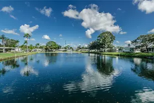 173 Hickory Gate Dr, Palm Harbor, FL 34684 - Photo 40