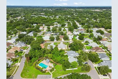 341 Hibiscus Drive, Palm Harbor, FL 34684 - Photo 38