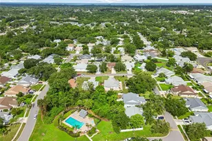 341 Hibiscus Dr, Palm Harbor, FL 34684 - Photo 38