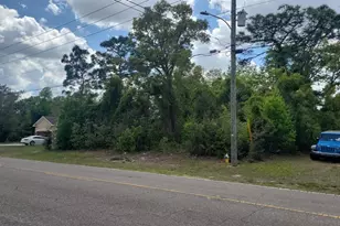 12083 Linden Dr, Spring Hill, FL 34608 - Photo 1
