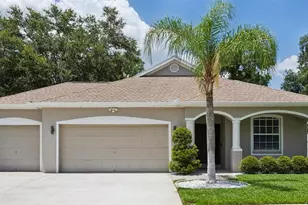 12816 Cattail Shore Ln, Riverview, FL 33579 - Photo 4