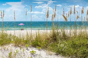 150 42nd Ave, Saint Pete Beach, FL 33706 - Photo 52