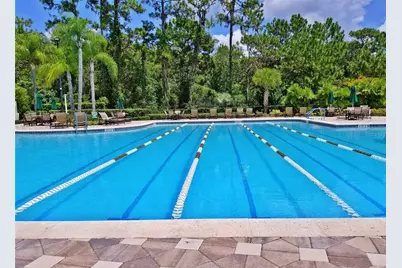 9305 Mandrake Court, Tampa, FL 33647 - Photo 28
