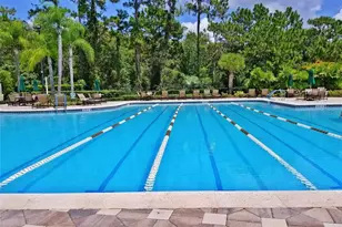 9305 Mandrake Ct, Tampa, FL 33647 - Photo 28