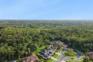27722 Indigo Pond Ct, Wesley Chapel, FL 33544 - Photo 62