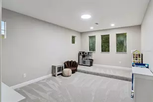 27722 Indigo Pond Ct, Wesley Chapel, FL 33544 - Photo 36