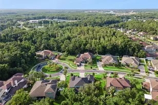 27722 Indigo Pond Ct, Wesley Chapel, FL 33544 - Photo 56