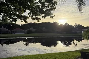 1338 Dartford Dr, Tarpon Springs, FL 34688 - Photo 2