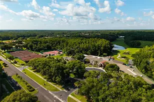 1338 Dartford Dr, Tarpon Springs, FL 34688 - Photo 74