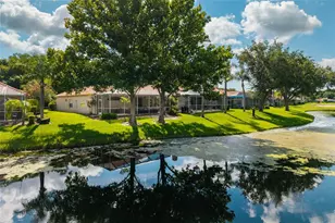 1338 Dartford Dr, Tarpon Springs, FL 34688 - Photo 44